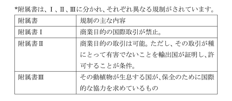 附属書は、Ⅰ、Ⅱ、Ⅲに分かれ、それぞれ異なる規制がされています。<br>附属書 規制の主な内容<br>附属書Ⅰ 商業目的の国際取引が禁止。<br>附属書Ⅱ 商業目的の取引は可能。ただし、その取引が種にとって有害でないことを輸出国が証明し、許可することが条件。<br>附属書Ⅲ その動植物が生息する国が、保全のために国際的な協力を求めているもの