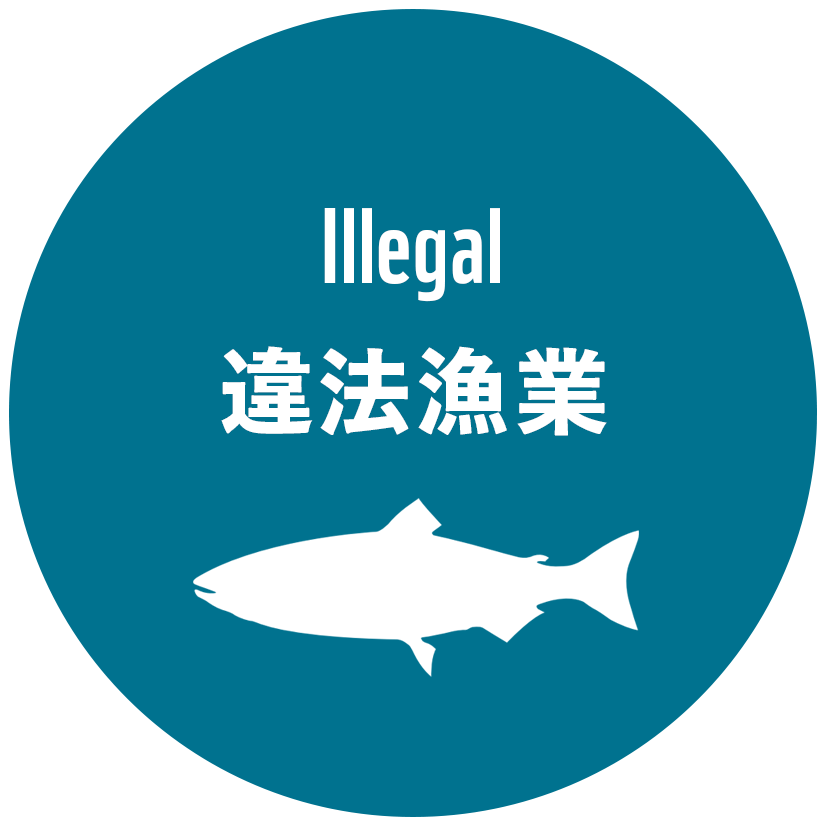   IUUの説明：違法漁業（Illegal）
