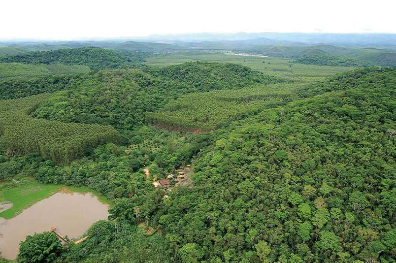 ブラジルのFSC®︎認証林。FSC(Forest Stewardship Council®:森林管理協議会)は、責任ある森林管理を世界に普及させることを目的に設立された国際的な非営利団体。環境保全の点から適切で、社会的な利益に適い、経済も継続可能な、責任ある管理をされた森林や責任ある林産物調達に対して認証が与えられる。