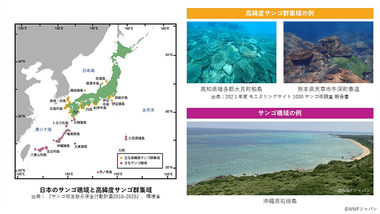 日本のサンゴ礁域と高緯度サンゴ群集域