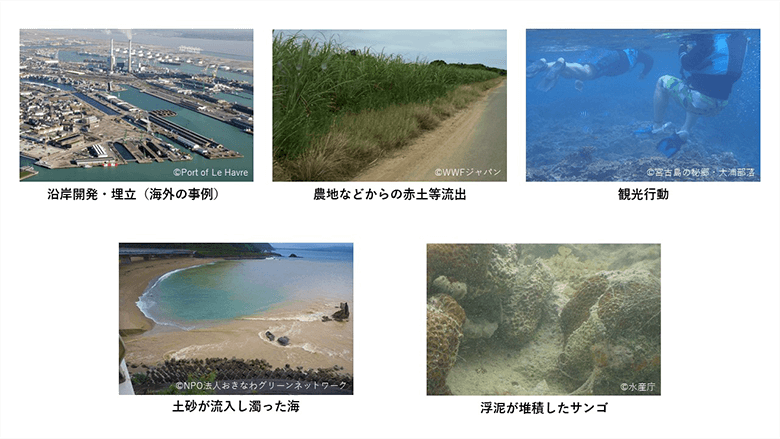 各海域のサンゴ礁で起きている問題とその影響の例