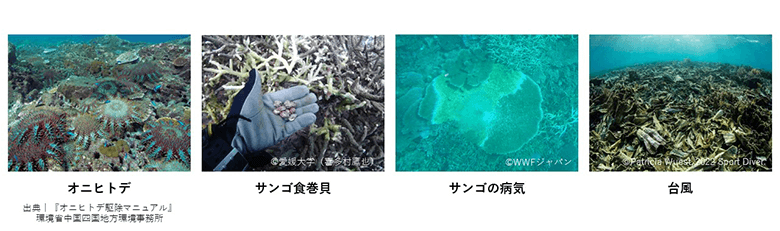 自然の脅威の例