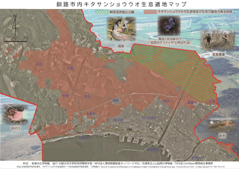 地図上の赤いメッシュはキタサンショウウオの生息適地。市街部と湿原にまたがるように分布している