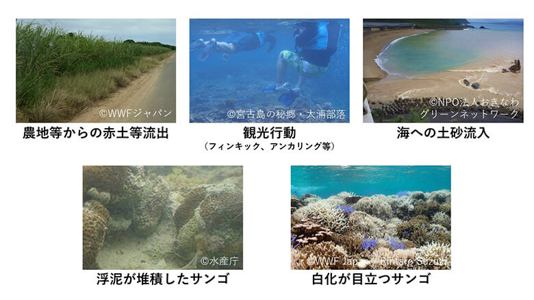 サンゴとその生態系に影響するさまざまな脅威