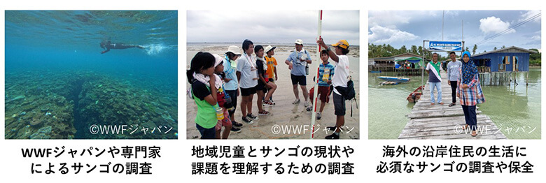 ご寄付の使い道として予定している活動