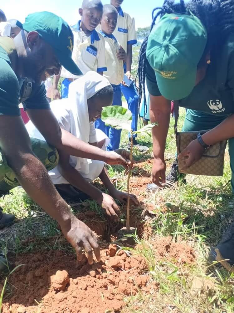 カメルーン・ヨカドゥマ東部地区での植林活動