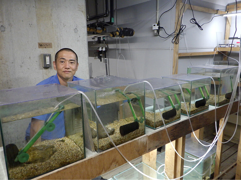イシガキパイヌキバラヨシノボリの飼育・繁殖に成功された、沖縄美ら海水族館・魚類課・松﨑章平係長。イシガキパイヌキバラヨシノボリの水槽の前で。