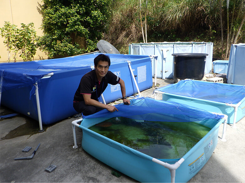 ヒョウモンドジョウの飼育・繁殖に成功された、沖縄美ら島財団・総合研究センター・動物研究室・岡慎一郎室長。ヒョウモンドジョウの水槽の前で。