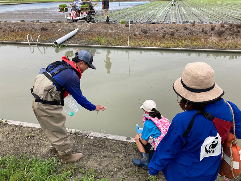 調査の様子。採水する場所は、水田の周囲をめぐる水路です。深いところでは1.2mほどもある水路で、田植えの時期の今は、水位が高い季節。淡水魚の産卵の時期でもあります。