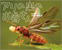 『アリの巣のお客さん』