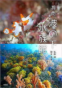 湘南 波の下水族館