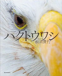 『ハクトウワシ』