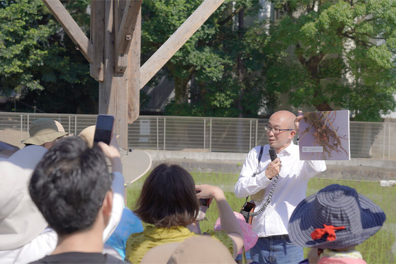 学芸員の長谷川氏による生きものや植物の解説
