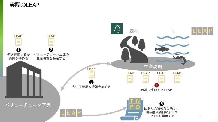 実際にTNFDが動き出すと、想定される社会の動き
