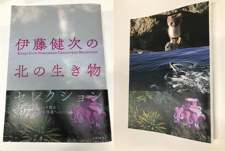 伊藤健次の北の生き物セレクション