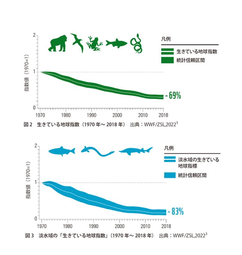 「生きている地球レポート2022」https://www.wwf.or.jp/activities/data/20221013lpr_02.pdf より引用