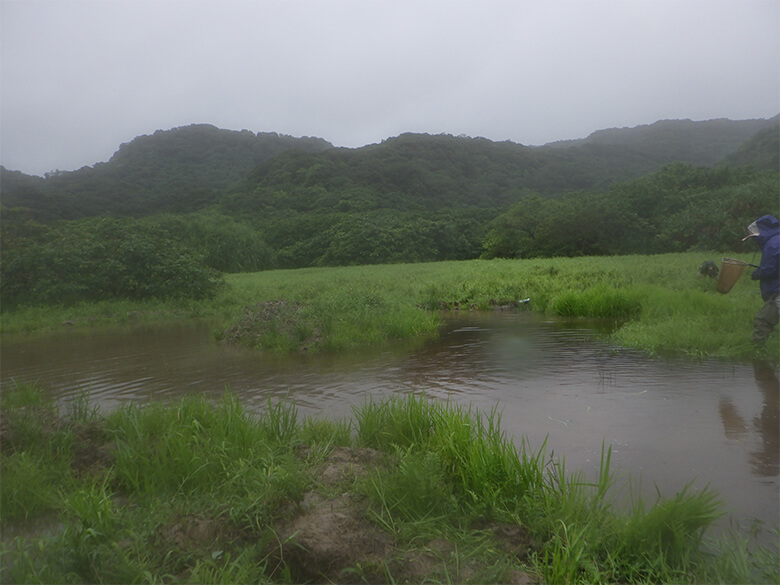 掘削した池のその後(2023年5月撮影) 周辺山地からの湧水で深い池となっていた