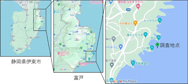 第1回の調査は伊東市の富戸海域で行われました。