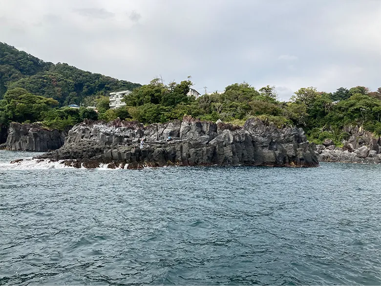 今回の調査は、伊東市富戸地区で特徴的な溶岩が作る地形「根」が集まるエリアで行われました。