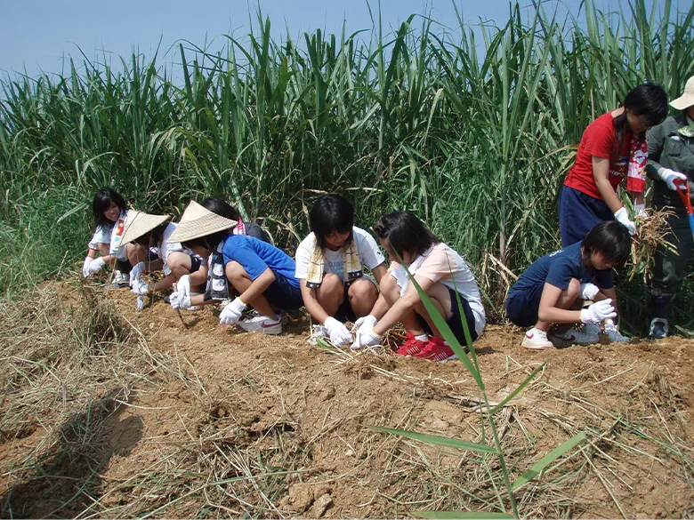 白保の海に注ぐ川の流域で取り組まれてきた月桃植えの活動。農地から海に流れ込む赤土によって、サンゴが弱ったり死んでしまう影響を防ぐ取り組みの一環として、たくさんの方にご参加いただきながら行なってきました。