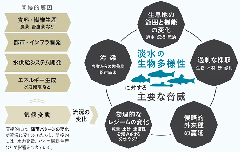 淡水の生物多様性に対する5つの主要な脅威と間接的要因。淡水域が地表全体に占める割合は1%未満にすぎないが、人類の半数以上は、淡水域から3キロ以内の場所に暮らしている。そのため淡水域では、生物多様性の減少につながるさまざまな問題が起きやすい。さらに、こうした問題は相互に関連しており、淡水域の生物多様性に複合的な影響を与えている。近年はここに、地球温暖化による気候変動の影響や、間接的要因として食料・繊維生産、エネルギー生成などの水需要の増加も加わり、事態はより複雑で深刻な状況になると予測されている。