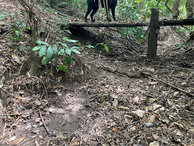過去に小川だった場所が、農地からの土砂流出によって埋められた場所。近年も農地転換が進む地域で、農地となって土砂が流出しやすくなってしまい、農地になったエリアから小川などの水系自体が減少している。