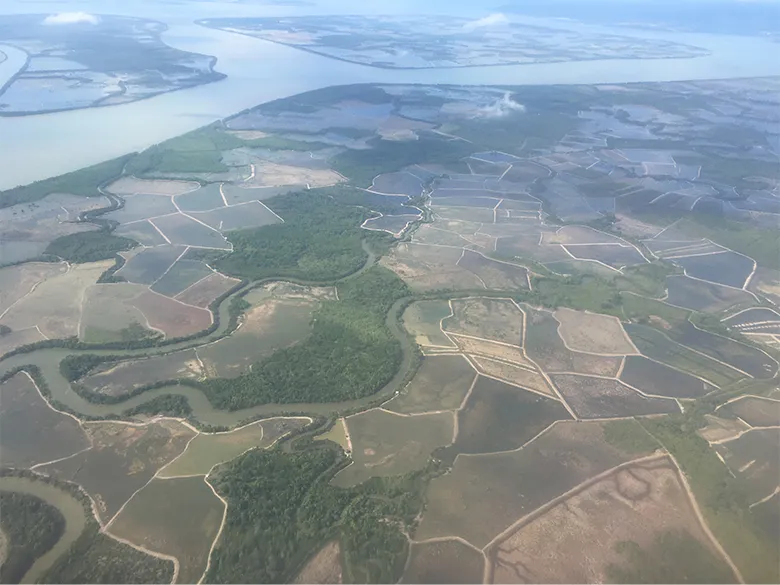 上空から見たインドネシアの沿岸域。マングローブ林(緑色の部分)の多くが失われ、エビ養殖池が広がっています。