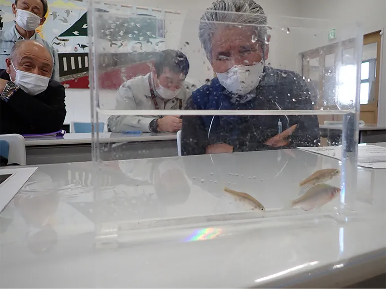 希少淡水魚をのぞき込む「シギの恩返し米」生産者の皆さん。