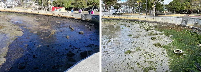 それぞれ、現場近くの海岸の事故直後の様子(左)と、油の除去を行なった後。目には見えなくなっても、環境中に残った油は、長期的な影響を及ぼす可能性があります。