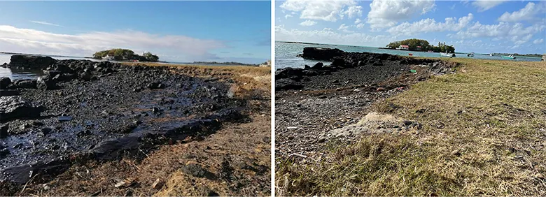 それぞれ、現場近くの海岸の事故直後の様子(左)と、油の除去を行なった後。目には見えなくなっても、環境中に残った油は、長期的な影響を及ぼす可能性があります。