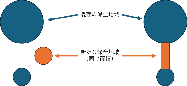 図2. 同じ面積の新たな保全地域をつくるなら、右側のように既存の保全地域との連続性を考慮できると理想的。右の回廊状の保護地域を「コリドー」と呼びます。