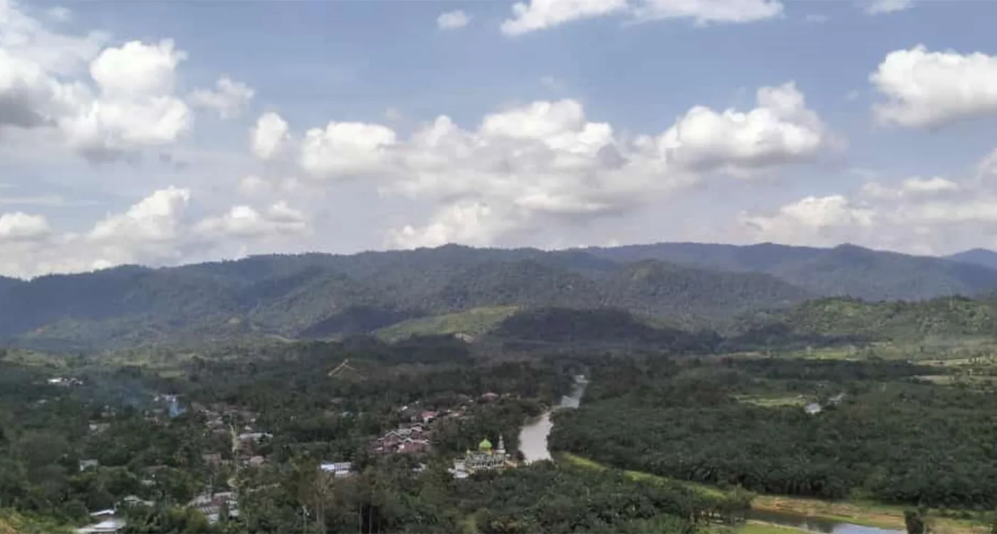 20240424forest01.webp