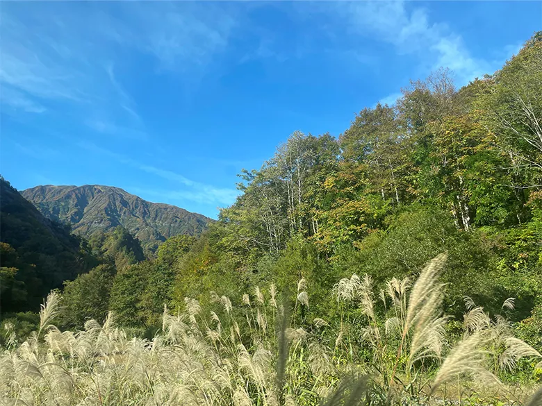 例えば、福島県只見町。先日、条例と取り組みについて同町の方にお話を伺いました。同町では、野生生物の大量捕獲を規制するなど、野生生物の捕獲や採集の在り方や希少な野生動植物の保全について条例で定めています。