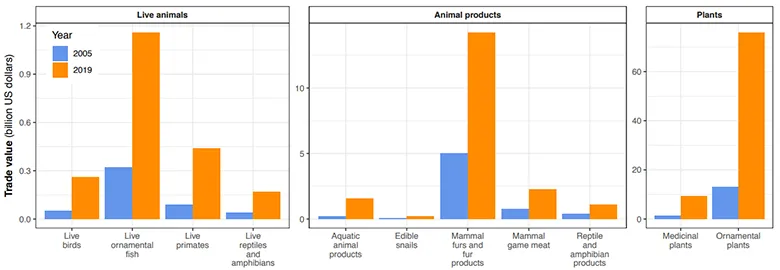 生きている動物、製品、植物の取引量を比較した表。青が2005年、オレンジが2019年の取引量を表している。