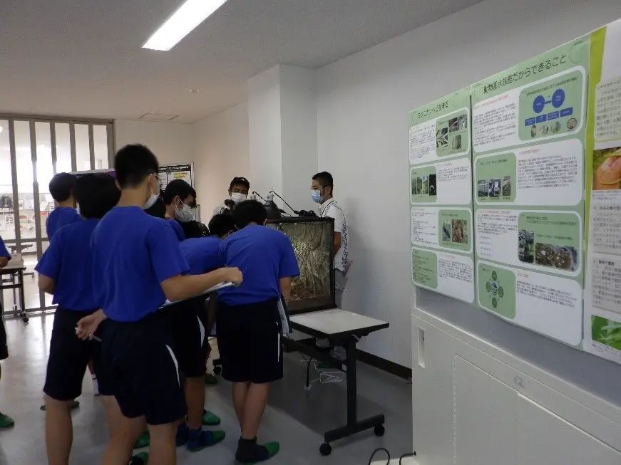 円山動物園(北海道札幌市)で飼育繁殖されたミヤコカナヘビの生体を宮古島で展示した2020年11月の普及イベント(主催:環境省・日本動物園水族館協会、協力:宮古島市・WWFジャパン)の様子。展示された生体は、イベント終了後、同じくこの種の系統保存に取り組む鳥羽水族館(三重県鳥羽市)へ移管された。