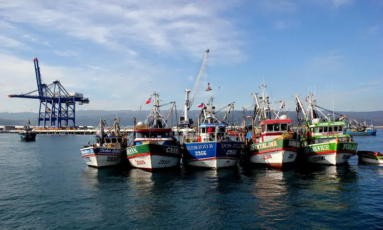小型浮魚類を漁獲するための漁船
