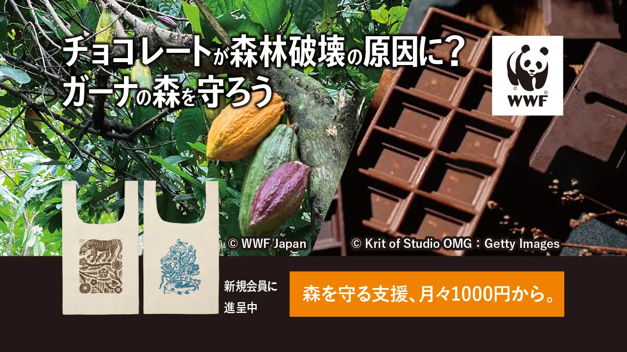 いっしょなら、もっと守れる。森林破壊から守る。|WWFジャパン