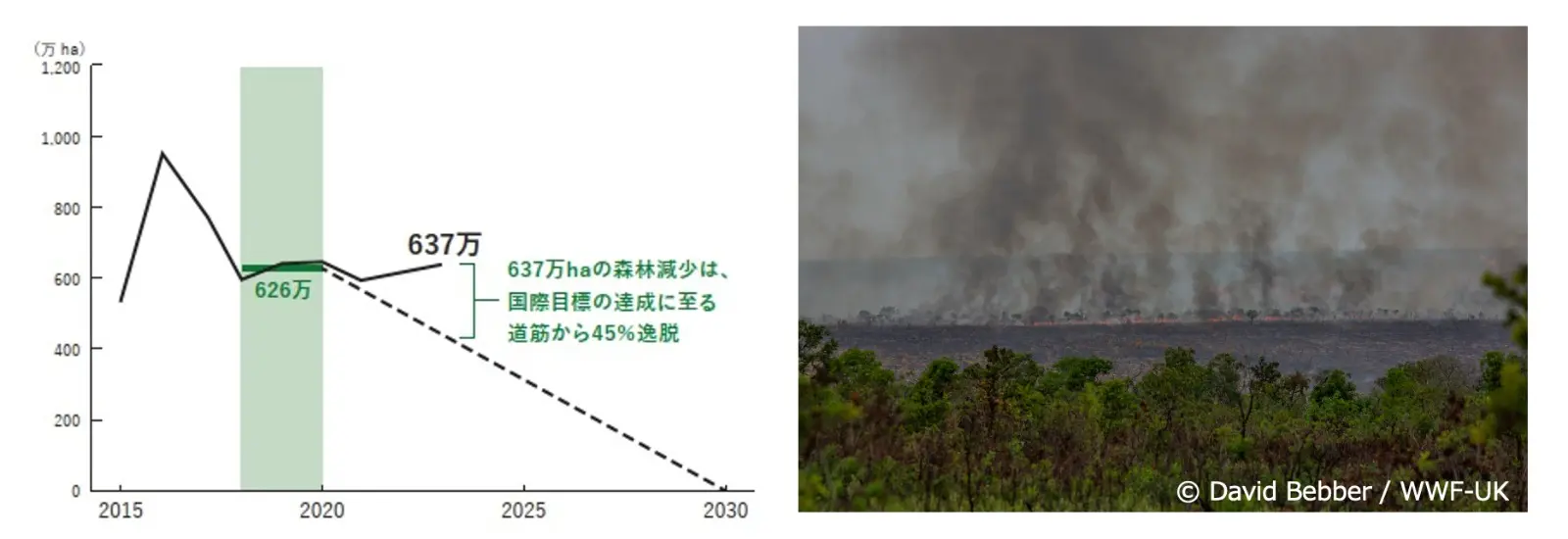 2015~2023年の世界の森林減少(2024 Forest Declaration Platform: Forest under fire より作成 )と農地拡大のために森林や草原が急速に失われるブラジルのセラード