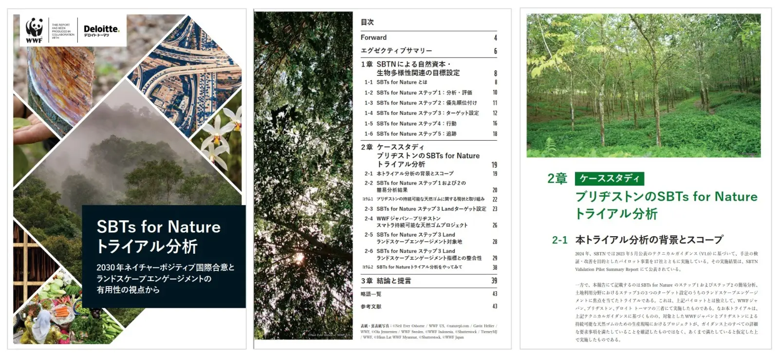 『SBTs for Natureトライアル分析 -2030年ネイチャーポジティブ国際合意とランドスケープエンゲージメントの有用性の視点から-』
