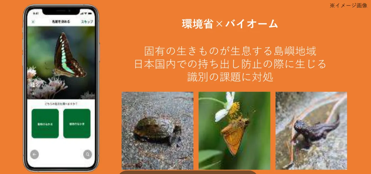 写真4