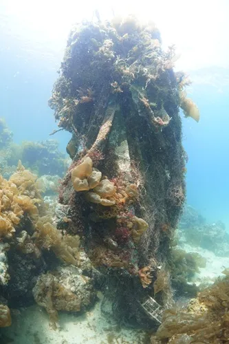 (引き上げ前)<br>縦3メートル、幅1メートル。上部に浮子(うき)が付いて浮力があり、下部は岩やサンゴに引っかかっている。