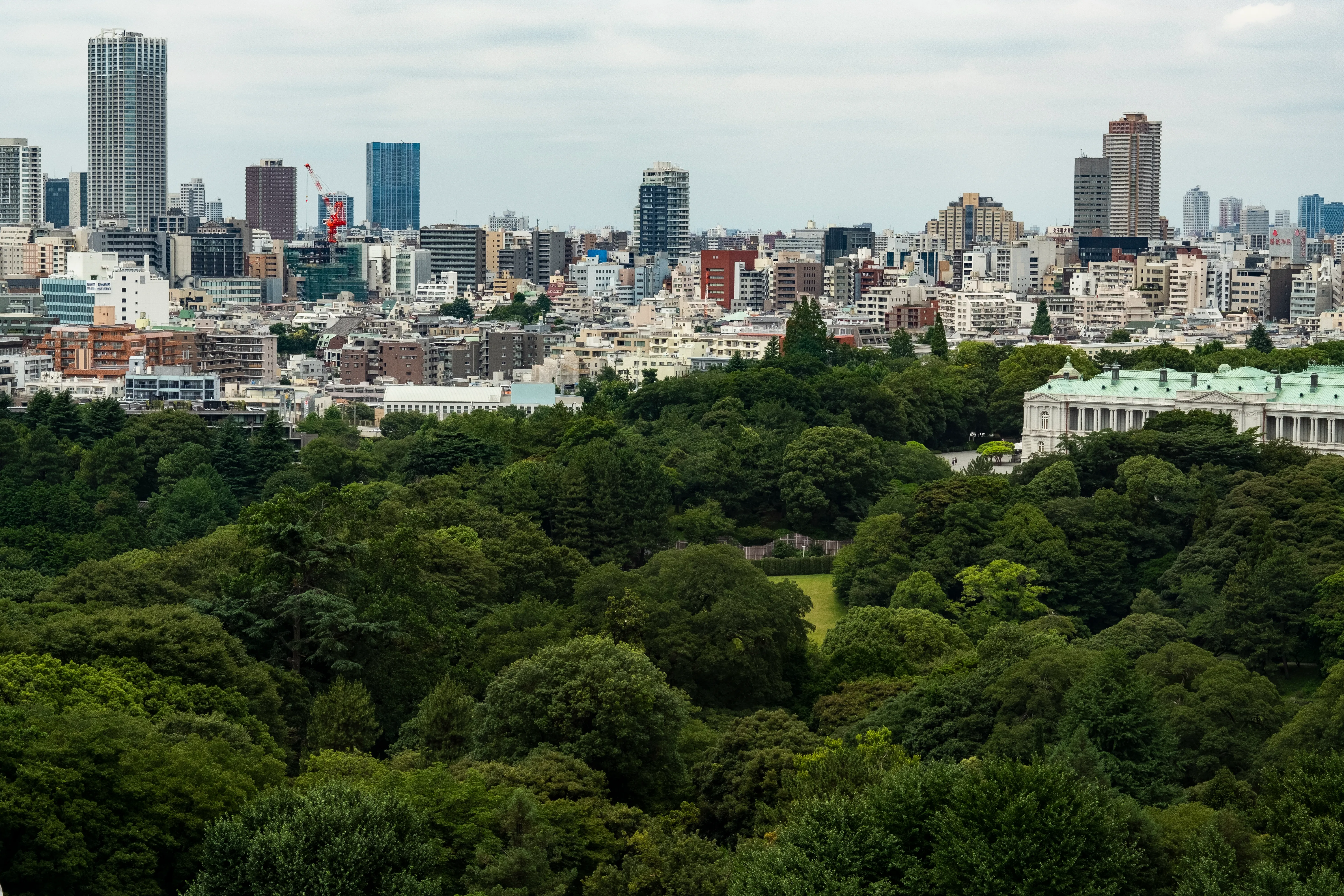 平均気温が1.5度上昇するというのは、(国内の都市別平均気温で例えると)東京の気候が高知の気候になるくらいの変化です(※)。これが実際に地球上で起きている温暖化の実態です。(写真はWWFジャパンの事務所がある三田国際ビルからの眺め)