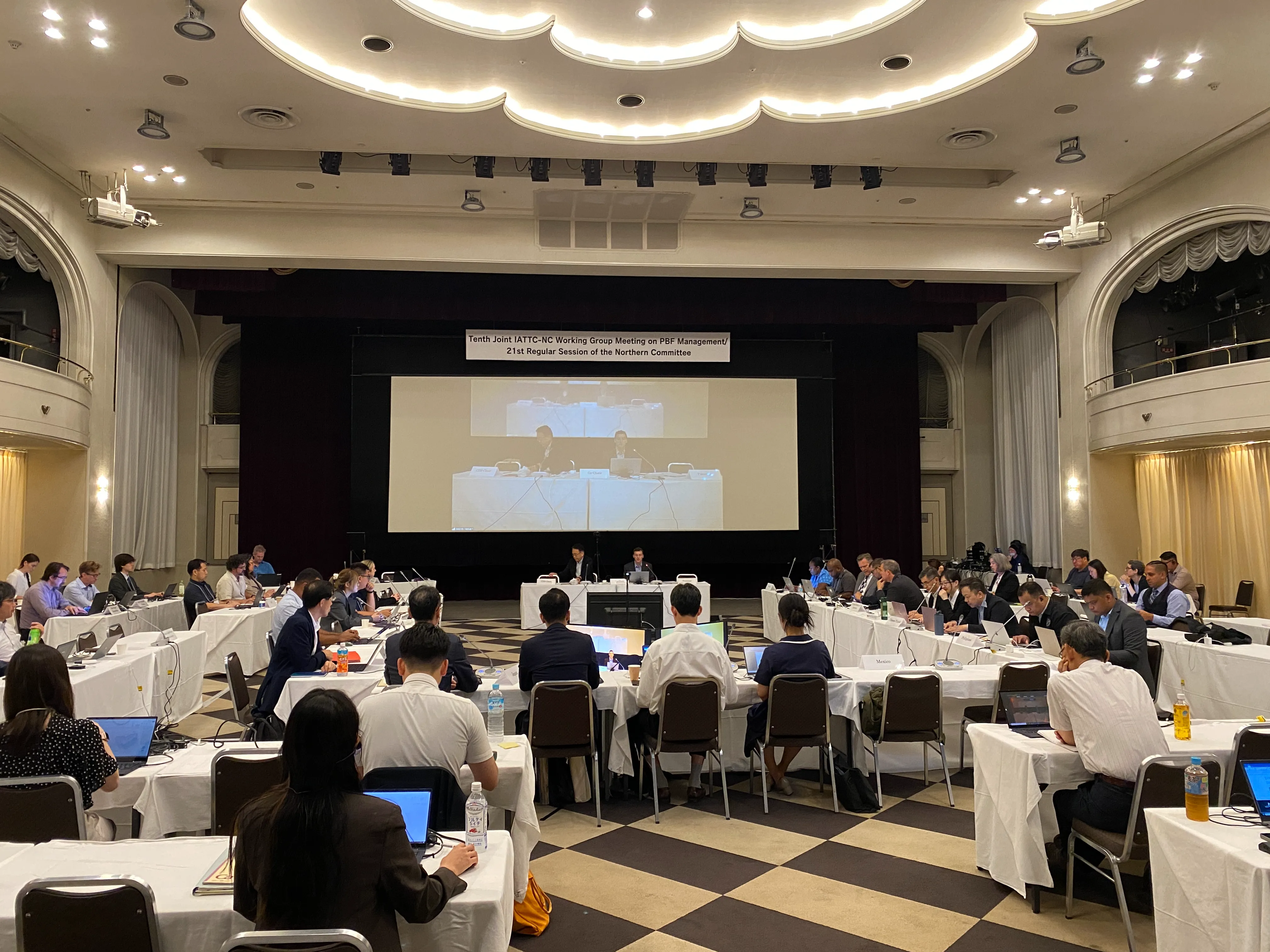 2025年のWCPFC北小委員会は、漁獲国のほか、太平洋諸国もオブザーバーとして参加しました。