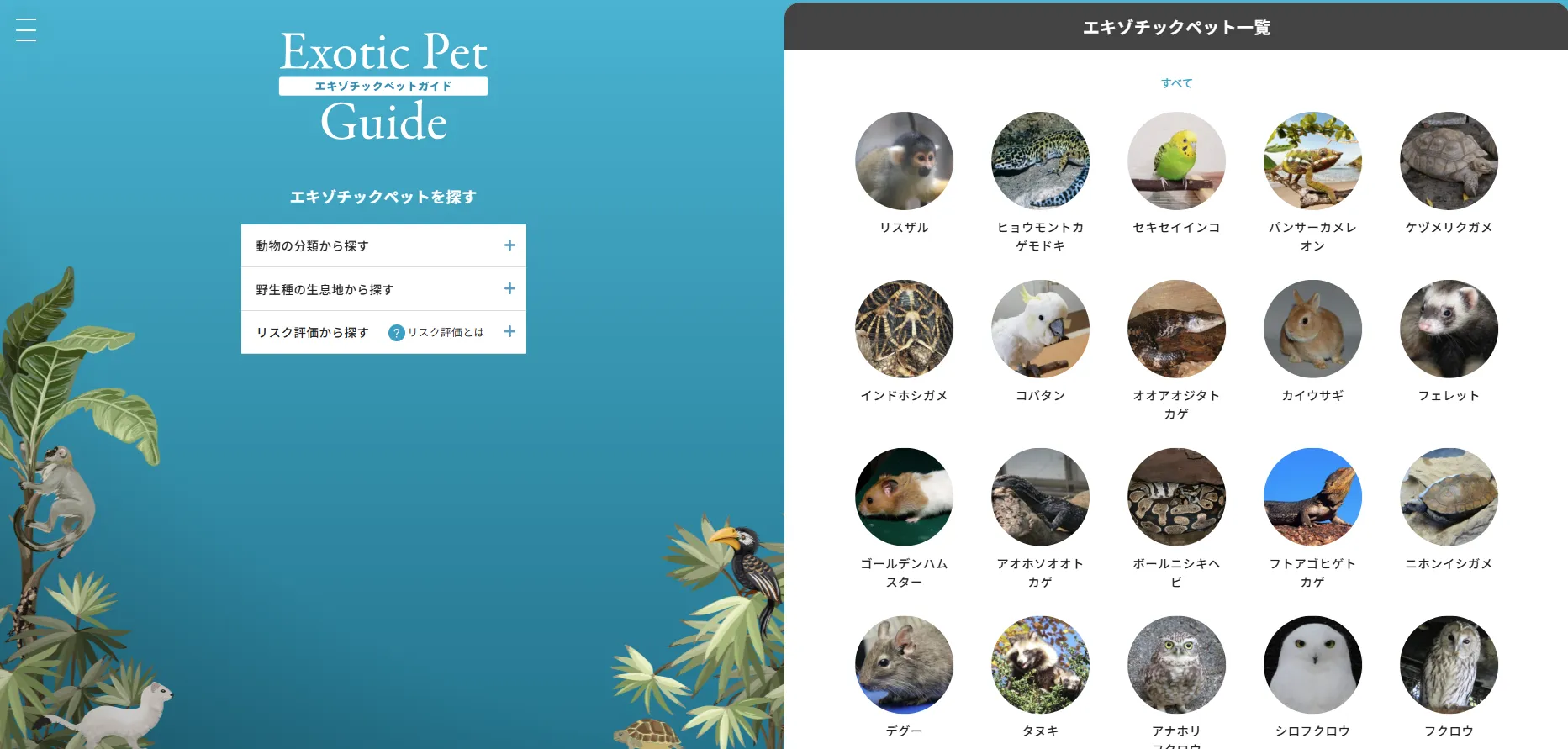 エキゾチックペットガイドは現在39種の動物の情報を掲載中です。随時、追加で掲載していきます。
