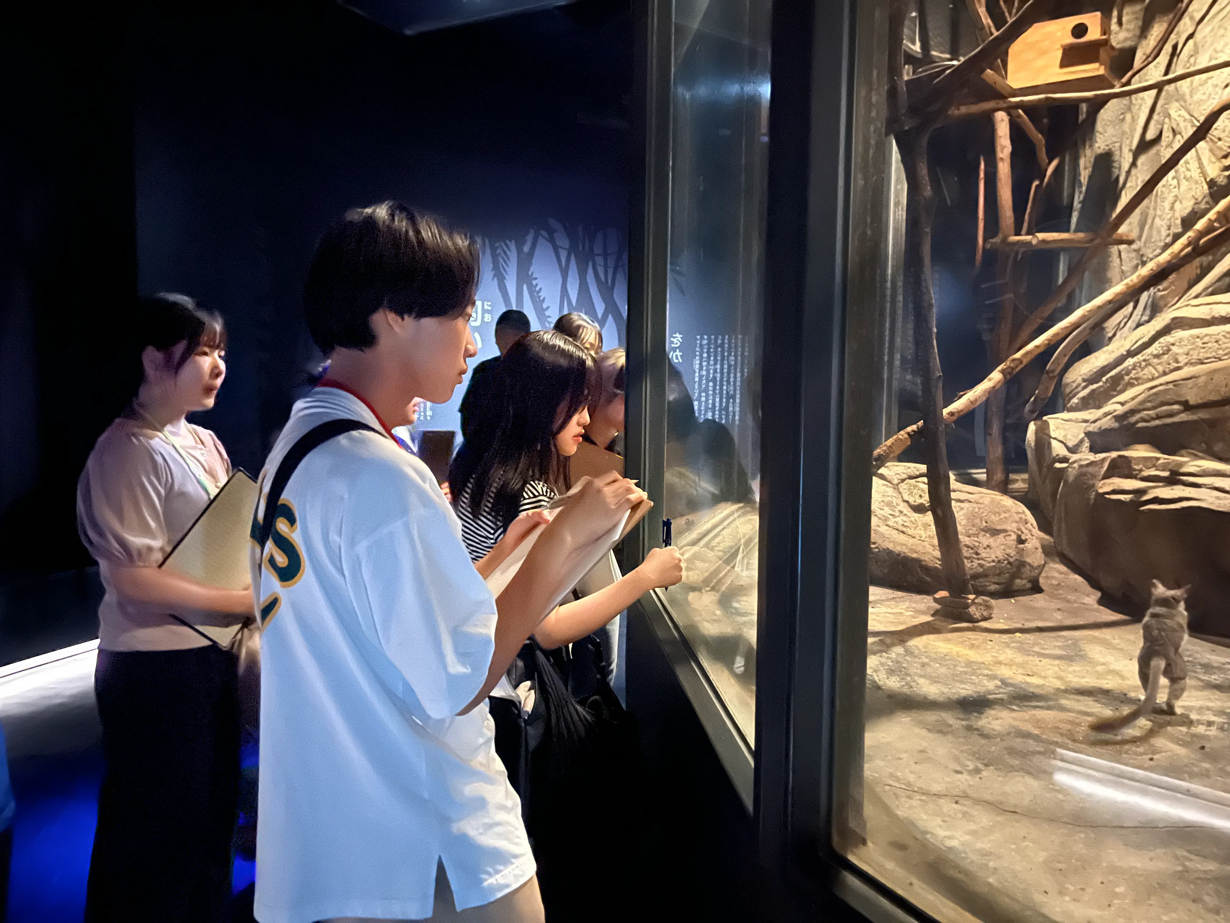 夜行性のショウガラゴを観察できるように、昼夜を逆転させて展示しています(写真では明るく見えますが、実際はとても暗かったです)。意外と太くて長い後脚にびっくり。ジャンプ力、マーキング、食べものなどについて詳しく教えて頂きました。