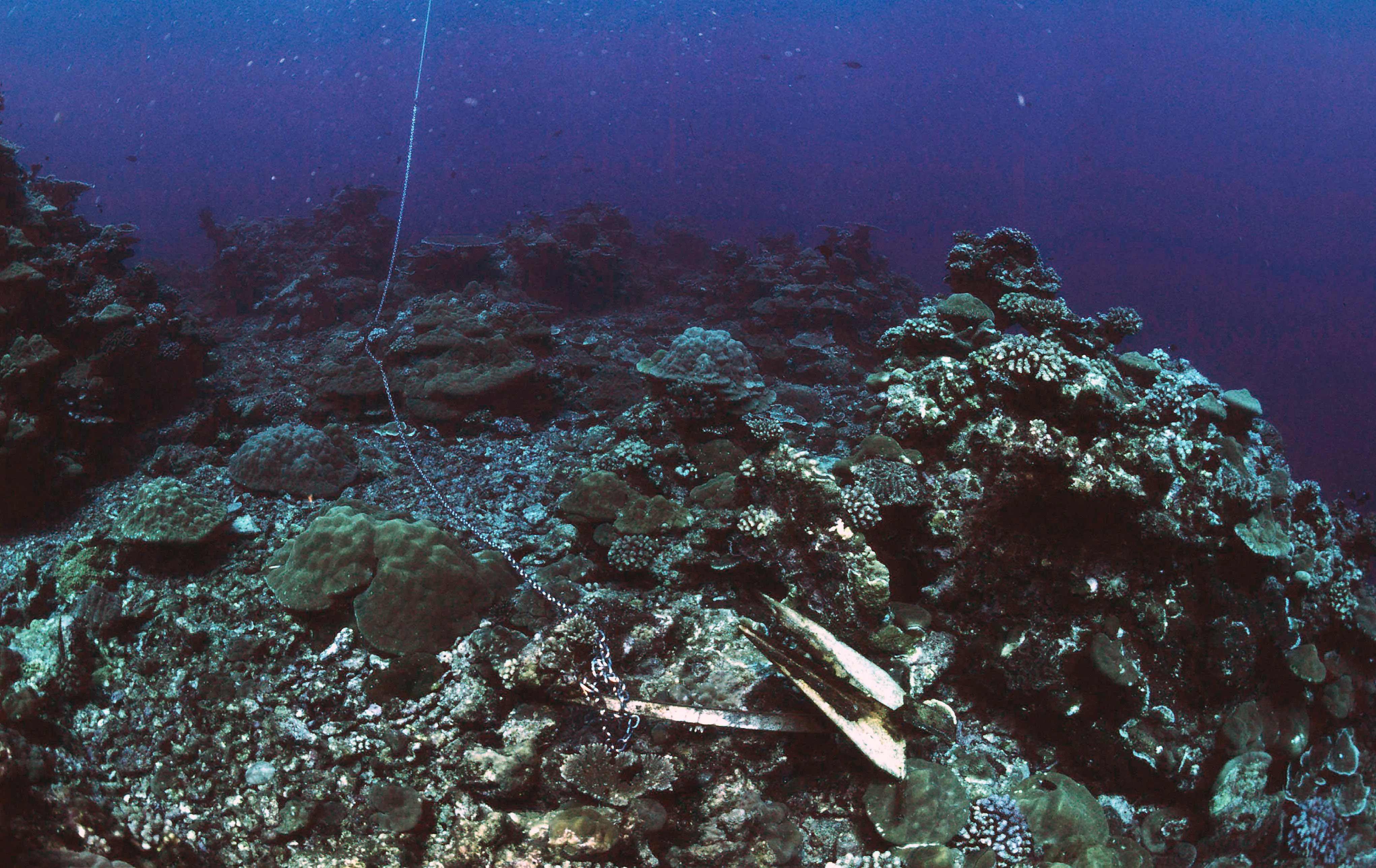 インド太平洋、サンゴ礁と船のアンカー