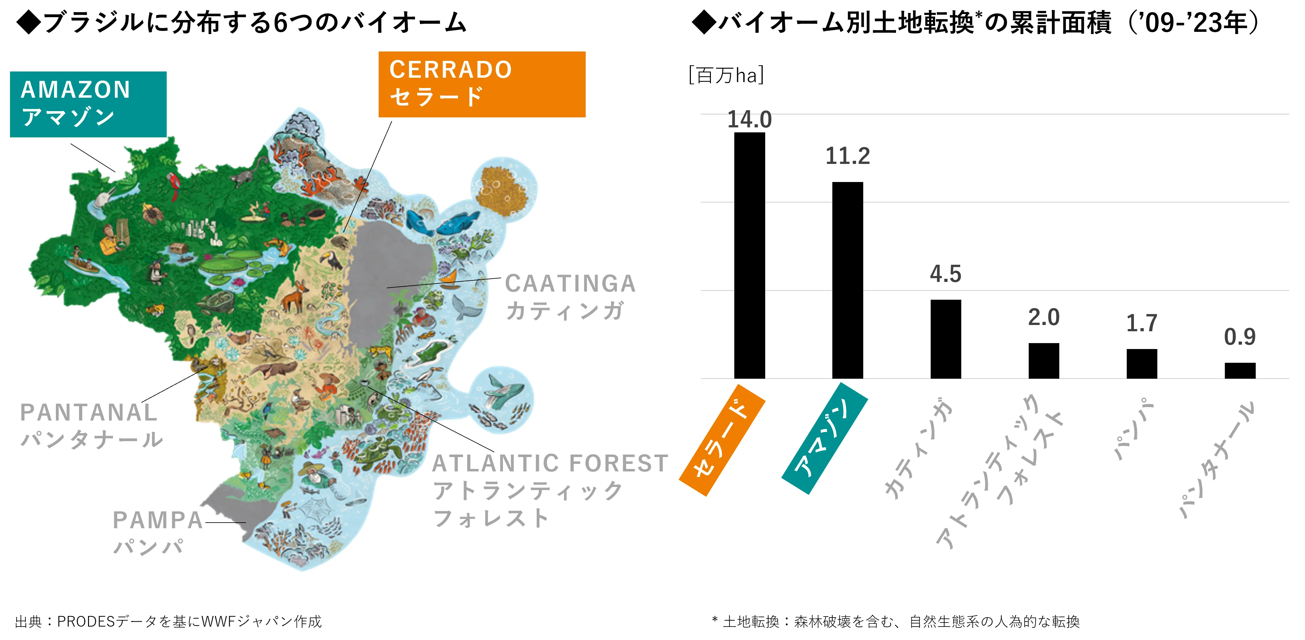 アマゾンを上回る規模の土地転換がセラードで発生している(※8)