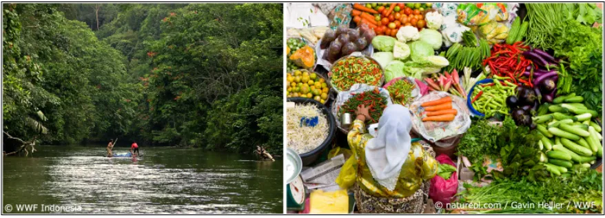人々の生活を支えてきた豊かな森林や川の恵み