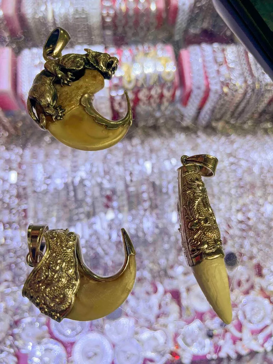 宝石店で売られていたトラの爪と歯