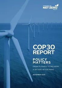 COP30 REPORT: Policy matters: From pledges to delivery a decade after Paris
